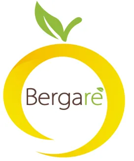 Bergarè