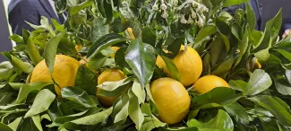 Manifestazione interesse Agrumiturismo