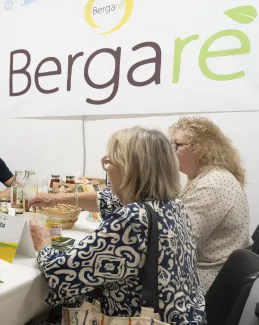 Bergarè B2B