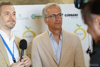 Workshop Bergarè 2025