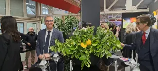 Giornata di apertura di Cosmoprof: il Bergamotto Giornata di apertura di Cosmoprof: il Bergamotto