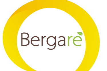 Bergarè
