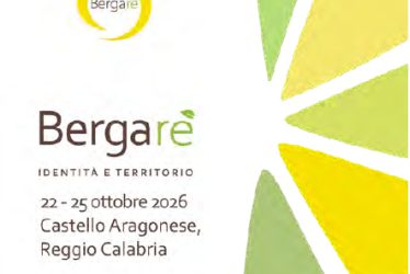 contest la migliore vetrina